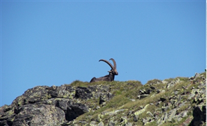 PARCO NATURALE ALTA VALSESIA